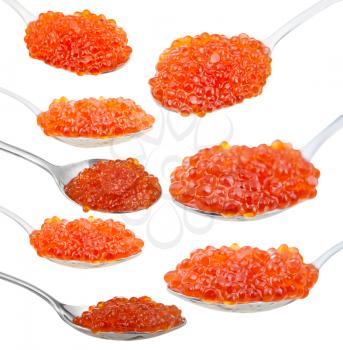 set of spoons with salmon red caviar isolated on white background