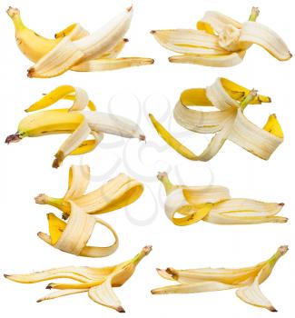 set of peeled yellow bananas and banana peels isolated on white background
