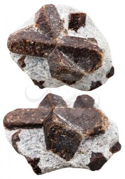 macro shooting of collection natural rock - two staurolite mineral stones isolated on white background