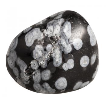 macro shooting of natural gemstone - tumbling snowflake obsidian mineral gem stone isolated on white background