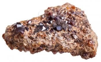 macro shooting of natural rock specimen - druse of Andradite (Melanite, garnet) mineral crystals isolated on white background