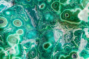 natural texture background - malachite mineral gemstone close up