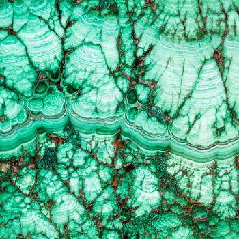 square natural background - texture of malachite mineral gem stone close up