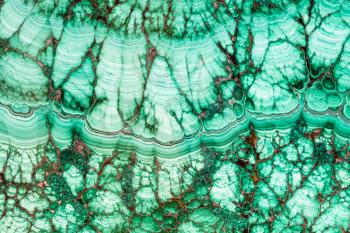 natural background - texture of malachite mineral gemstone close up