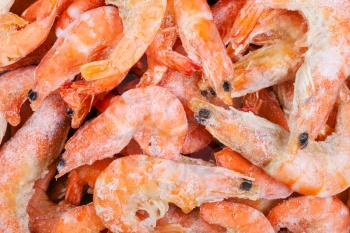 food background - many frozen boiled shrimps close up