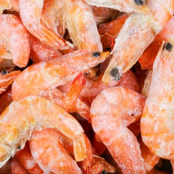 food square background - frozen boiled red shrimps close up