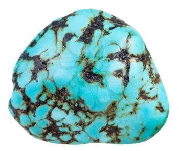 macro shooting of natural mineral stone - polished blue Howlite (turquenite, Turquonite, turquoise imitation) gemstone isolated on white background