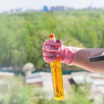 washing home window - cleaner sprays liquid from spray bottle to glass with green urban park outside in sunny spring day