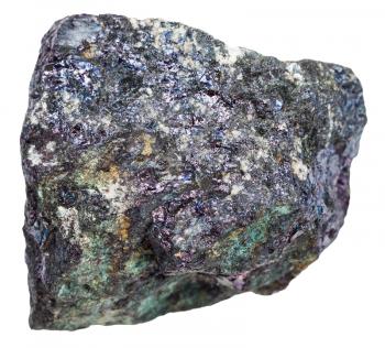 macro shooting of natural rock - iridescent bornite mineral stone (peacock ore) isolated on white background