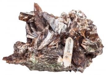 macro shooting of natural mineral - clove-brown axinite crystals and one clear quartz crystal isolated on white background