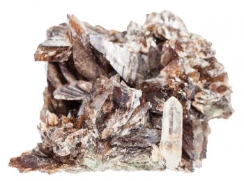 macro shooting of natural mineral - axinite (Axinite-(Fe), ferroaxinite) crystals and one quartz crystal in druse isolated on white background
