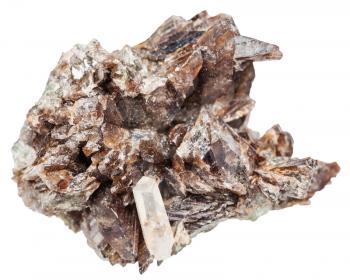 macro shooting of natural mineral - axinite (Axinite-(Fe), ferroaxinite) crystals and one quartz crystal in matrix isolated on white background