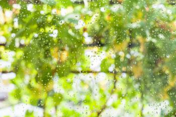 raindrops on window pane of country house and blurred vineyard on background in summer day