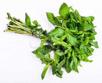 bunch of fresh cut green peppermint herb on white background