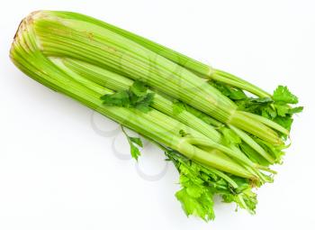 fresh cut celery stalks on white background