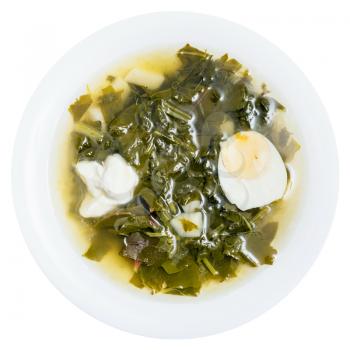 top view of vegetarian soup in plate from fresh green leaves of spinach, sorrel, beet greens with half of egg and sour cream isolated on white background