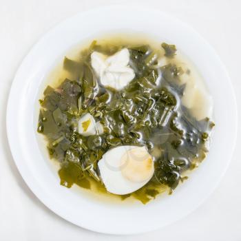 above view of vegetarian soup in plate from fresh green leaves of spinach, sorrel, beet greens with half of egg and sour cream on white background