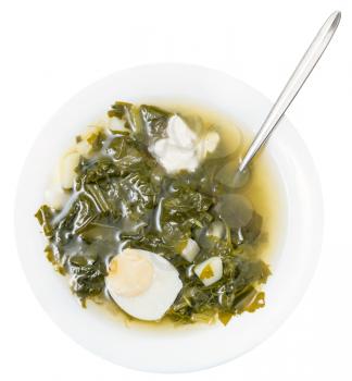 top view of vegetarian soup in plate with spoon from fresh green leaves of spinach, sorrel, beet greens with half of egg and sour cream isolated on white background