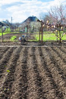 plowed garden seed beds and tiller in village in spring