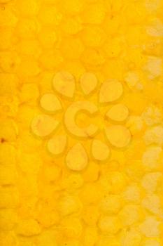 natural pattern - honeycomb cells under fresh honey