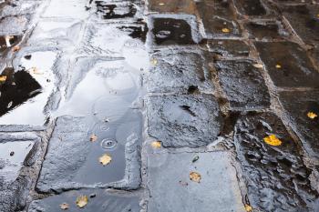 travel to Italy - old pavement with rain puddle and yellow fallen leaves in Florence city in autumn