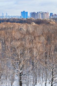 above view of city on horizon and tree crowns in forest illuminated by sunlight in cool winter day