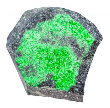 macro shooting of geological collection mineral - specimen with uvarovite crystals isolated on white background