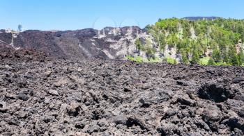 travel to Italy - frozen lava flow on slope of Etna volcano with burned trees in Sicily