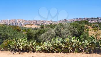 travel to Italy - garden and view of Agrigento town from Valley of the Temples in Sicily