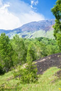 travel to Italy - green forest on volcanic soil on slope of Etna mount in Sicily