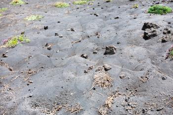 travel to Italy - black volcanic soil on slope of Etna mount in Sicily