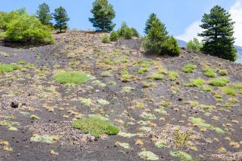 travel to Italy - green grass on slope of old volcanic crater of Etna mount in Sicily