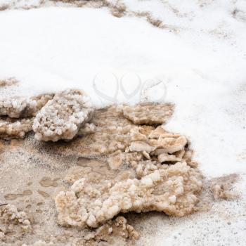 Travel to Middle East country Kingdom of Jordan - pieces of crystalline salt in foam of Dead Sea in winter