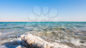 Travel to Middle East country Kingdom of Jordan - crystalline salt close up on coast of Dead Sea in sunny winter day