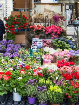 travel to Italy - flower stall on street in Padua city in spring