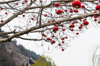 travel to China - traditional chinese red lanterns of tree branches in area of Longmen Grottoes (Longmen Shiku, Dragon's Gate Grottoes, Longmen Caves) in spring season