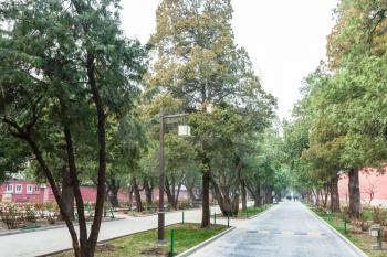 travel to China - alley in public park of Working People's Cultural Palace (Imperial Ancestral Hall) in Beijing Imperial city in spring.