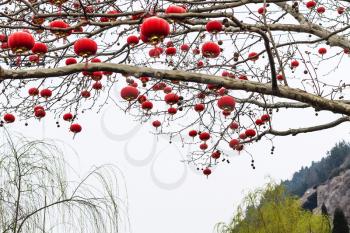 travel to China - chinese red lanterns of tree branches in area of Longmen Grottoes (Longmen Shiku, Dragon's Gate Grottoes, Longmen Caves) in spring season