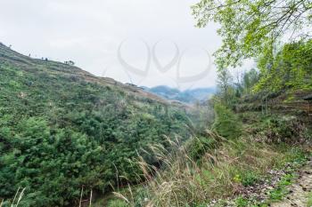 travel to China - green hills around Dazhai village in area of Longsheng Rice Terraces (Dragon's Backbone terrace, Longji Rice Terraces) in spring season