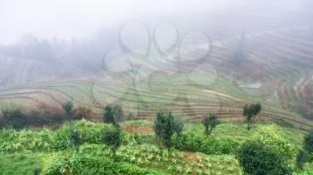 travel to China - view of rice terraced hills in brume from viewpoint Music from Paradise in area of Dazhai Longsheng Rice Terraces (Dragon's Backbone terrace, Longji Rice Terraces) country in spring