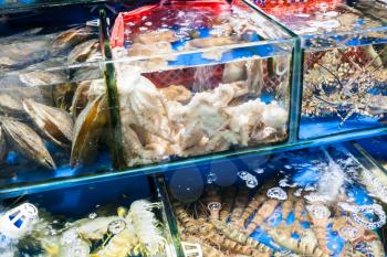 Travel to China - octopus, calms, langoustines on Huangsha Aquatic Product Trading Market in Guangzhou city in spring season