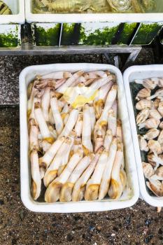 Travel to China - boxes with geoduck mollusk on Huangsha Aquatic Product Trading Market in Guangzhou city in spring season