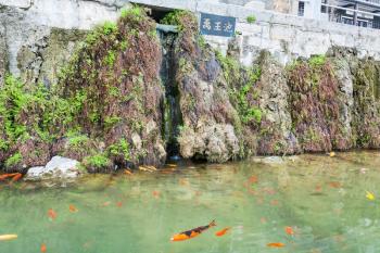 LUOYANG, CHINA - MARCH 20, 2017: gold fishes near embankment of Yi river on East Hill of Buddhist monument Longmen Grottoes (Longmen Shiku, Dragon's Gate Grottoes, Longmen Caves) in spring season