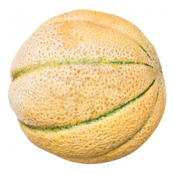 sicilian muskmelon (cantaloupe melon) isolated on white background