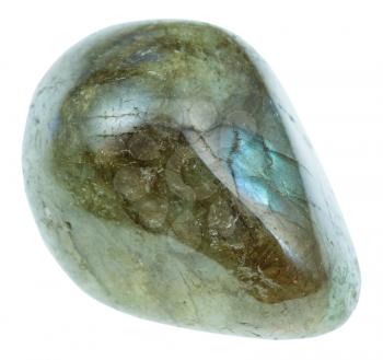 macro shooting of natural mineral rock - tumbled labrador (labradorite) gemstone isolated on white background from Madagascar