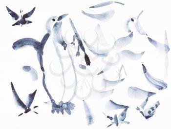 training drawing in suibokuga style with watercolor paints - sketches of penguin and various birds on white paper