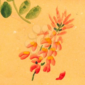 training drawing in suibokuga style with watercolor paints - Wisteria flower on orange colored paper