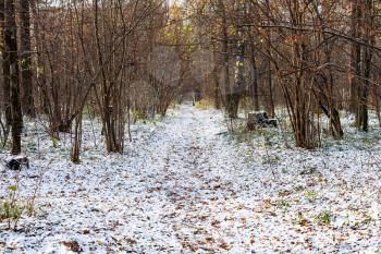pathway in forest of urban park covered with the first snow in cold autumn day