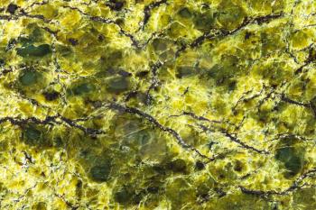 background from polished greenish lizardite natural stone close up
