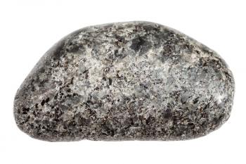 macro shooting of natural rock specimen - polished Peridotite stone with Phlogopite mica isolated on white background from Kovdor region, Kola Peninsula, Russia